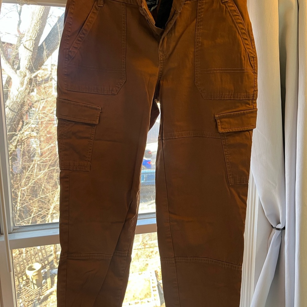 Prana Brown Hiking Pants